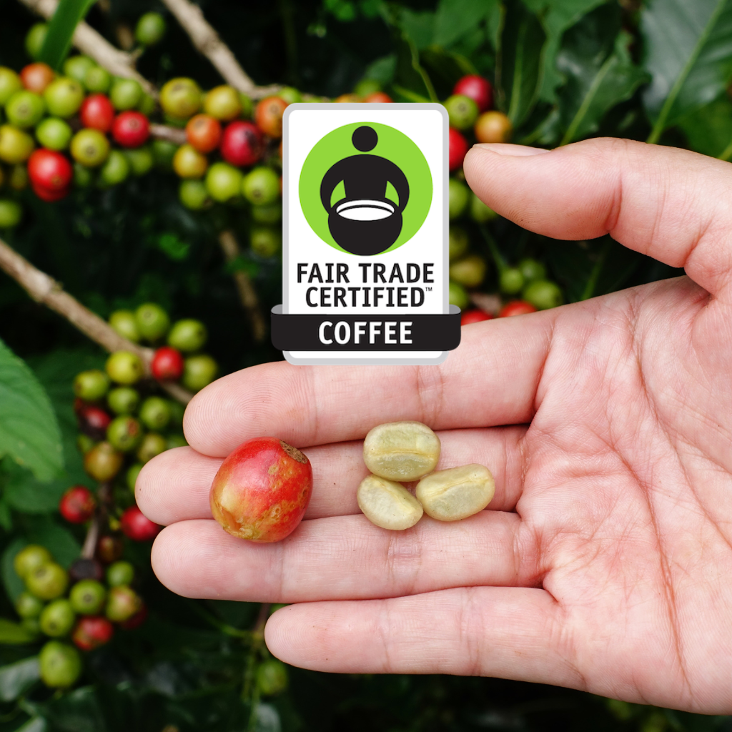 Hand holding coffee beans with a Fair Trade Certified logo against a background of coffee plants — 1790 Coffee A Pillow in the Desert