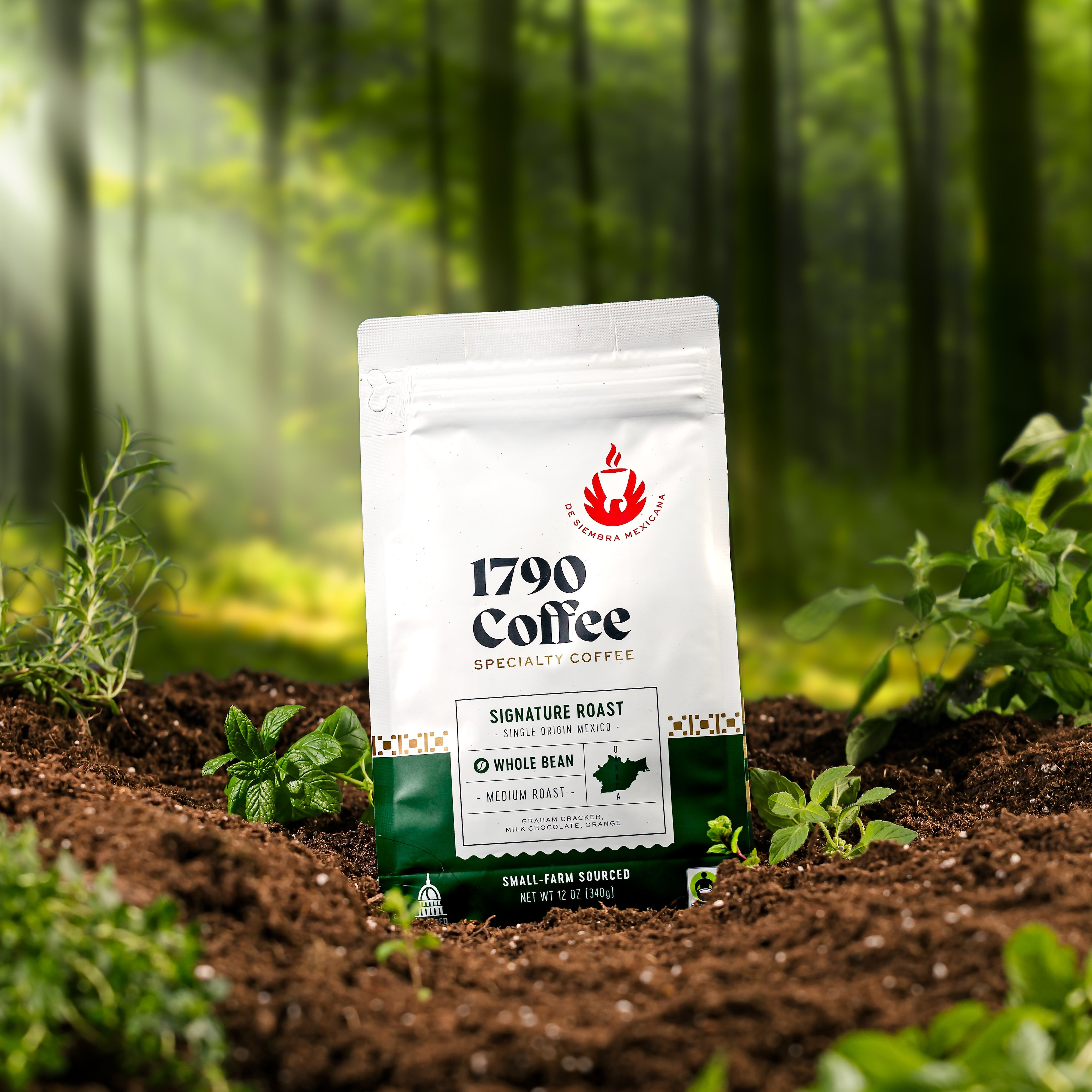 Bag of 1790 Coffee Signature Roast on a natural mossy background